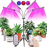 COKOLILA Pflanzenlampe Led, 80W Grow Light mit Ständer Tripod, 4 Heads Planzenlicht mit timer 4/8/12H, Grow Lampe Vollspektrum 360°Einstellbar Schwanenhals & Tripod für I