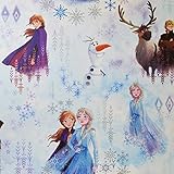 Kindertapete Disney Frozen Anna Elsa Olaf Schnee Eis Blau Blaugrün Sven Kristoff M