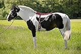 Reitkissen Norton braun/beig