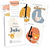 Meilensteinkarten Baby (26 Stück mit Box) Junge & Mädchen - Meilenstein Karten - Milestone Cards Geschenk zur Geburt - Geschenke Schwangerschaft & Babyparty - Fotokarten Babykarten - Bunte T