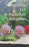 Kompakter 1x1 Aquarium Ratgeber: Was muss man wissen für eine Anschaffung, Ausstattung und Pflege? Welche Aquarium Fische?