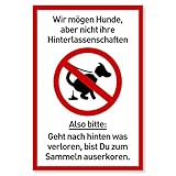 Schild Hunde kacken verboten (20 x 30 cm Kunststoff) - Lustig - Kein Hundeklo - Hundekot Schild - Hunde Verbotsschilder - H