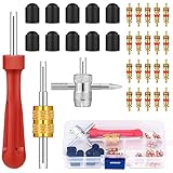 Reifenventilentferner Ventilwerkzeuge Set Reifenventilentferner Ventil Reparatur mit Doppel und Einzelkopf Ventilkern 20 Stück Ventilkern 10 Stück Reifenventilkappen 1 Stück 4 Wege Ventilkernwerkzeug