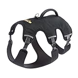Ergonomisches Geschirr von Ferplast für mittelgroße Hunde ERGOTREKKING P MEDIUM, Sechs Verschlüsse mit patentierter Mikroregulation, weiche Polsterung, reflektierend, Ideal zum Wandern, Schw