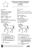 Metall Element. Lungen und Dickdarm Meridian.: AMM und TCM