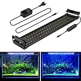 Aquarium LED Beleuchtung, mit Timer, Dimmbare Aquariumbeleuchtung Lampe Weiß Blau Licht 11W mit Verstellbarer Halterung für 50cm-70