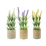 3 Stück kleine künstliche Blumentöpfe im Topf Lavendelgrün künstliche Pflanzen aus Kunststoff zum Dekorieren von Schreibtischen Schlafzimmer Küchen Balk