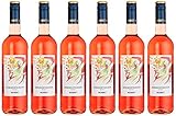 Weinbiet Manufaktur Eg Sommertänzer Rosé Feinherb Roséwein (6 X 0.75 L) 684