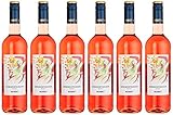 Weinbiet Manufaktur Eg Sommertänzer Rosé Feinherb Roséwein (6 X 0.75 L) 684