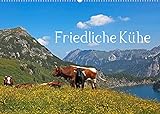 Friedliche Kühe (Wandkalender 2022 DIN A2 quer)