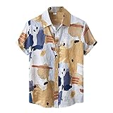 BIBOKAOKE Herren Hemden Kurzarm Hawaii Blumenhemd Funky Mehrfarbig Kariert Streifen Bedrucktes Sommer T-Shirts Loose Casual Henley Shirt Revers Strandhemd Urlaub Freizeithemd M