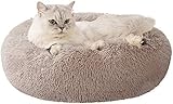 JCT Katzenbett Hundebett Plüsch Betten Für Haustier Rundes Katzennest Hundehaus, Welpen Kissen, Warme Weiche Bequeme Hundesofa,Doughnut-Form,Rutschfester – Maschinenwaschbar (Beige 60cm)