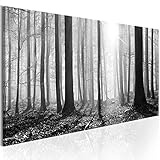 murando - Bilder Wald 135x45 cm Vlies Leinwandbild 1 TLG Kunstdruck modern Wandbilder XXL Wanddekoration Design Wand Bild Panoramabild - Waldlandschaft Natur Panorama Baum schwarz-weiß c-B-0235-b