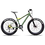 DJYD 27-Gang-Mountainbikes, Profi 26 Zoll Adult Fat Tire Hardtail Mountainbike, Alurahmen Vorderachsfederung All Terrain Fahrrad, C FDWFN