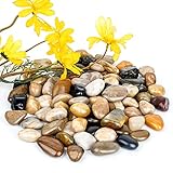 clleylise Polierte Kieselsteine, 2-5 cm natürliche polierte gemischte Farbsteine, kleine dekorative Flusssteine, Blumentopf Gartenkies​​(ca. ​​1 kg)