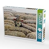 CALVENDO Puzzle Der Wolf im Schafspelz 1000 Teile Lege-Größe 64 x 48 cm Foto-Puzzle Bild von J