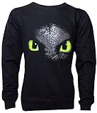 Dragons DreamWorks Kinder Sweatshirt Ohnezahn Toothless, 104 bis 158, schwarz (116/122)