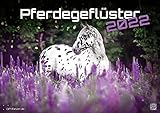 Pferdegeflüster - Der Pferdekalender - 2022 - Kalender DIN A2