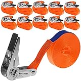 INDUSTRIE PLANET 10 Stück 800kg 6m Spanngurte mit Ratsche einteilig 1 teilig Zurrgurte Ratschengurte 25mm orange 800 daN 0,8