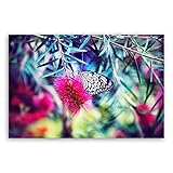 Bilderdepot24 Bild auf Leinwand | butterfly - color explosion in 30x20 cm als Wandbild | Wand-deko Dekoration Wohnung modern Bilder | MM2298