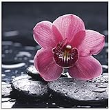 Artland Glasbilder Wandbild Glas Bild einteilig 20x20 cm Quadratisch Asien Natur Botanik Blumen Blüten Orchideen Zen Entspannung Pink T9MN