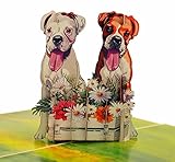 Boxer Dogs Pop-Up-Karte mit magischem fliegenden Schmetterling, Karte für Hundeliebhaber, Jahrestag, Weihnachtskarte, Wertschätzungskarte, Dankeskarte,