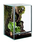 Glas Terrarium Glasterrarium 20x20x30 20 30 Falltü