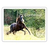 Spreadshirt Ostwind Der Große Orkan Ostwind Reitet Sticker, One Size, Mattweiß