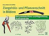 Ziergehölz- und Pflanzenschnitt in Bildern: Eine praktische Pflanz- und Pflegeanleitung durchs ganze J