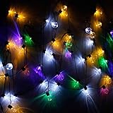 Pillowcase Solar-Glühbirne Lichter Garten, wasserdicht 8 Modus 15.7FT 20led Solar dekorative Lichterketten für Hochzeit Weihnachtsfest Ambiente Beleuchtung (Multicolor)
