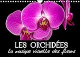 Les Orchidées - La musique visuelle des fleurs (Calendrier mural 2022 DIN A4 horizontal)