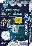 Kosmos 654160 Fun Science - Wuselnde Salzkrebse, Erwecke die Urzeit zum Leben, Experimentierset für Einsteig