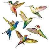 Lepidi 6 Stück Kolibri Aufkleber, Fensteraufkleber für Glas, Anti Kollisions Fensteraufkleber, Einfachheit Kolibri Muster PVC Vögel Wandtattoo für Fenster, Wohnzimmer, Büro, Kinderzimmer (6 Stil)