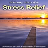 Calm Music To Help Anxiety