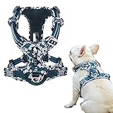Tineer Blumenmuster No-Pull Hundegeschirr Reflektierendes Nylon Verstellbare Weiche, gepolsterte Weste Geschirr Training Einfacher Steuergriff für kleine mittelgroße Hunde (XS Brust: 69-81cm, Blau)
