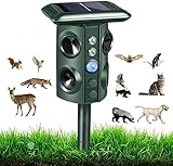 Katzenabschreckung im Freien 2021 Upgrade Ultraschall Katzenschreck für Garten, Solar-Tierabwehr, Ultraschall-Abwehr, Ultraschall-Abwehr, Ultraschall-Abschreckung für Katzen, Hunde und N