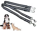 Parence Sicherheitsgurt für Hunde / Katzen / Haustiere / für Autositze - Schwarz (2 Leinen)