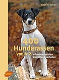 400 Hunderassen von A–Z: Alles über Aussehen, Charakter und V