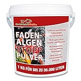 GartenteichDirekt Fadenalgen-Stopp Pulver (Algenmittel, Entferner, Fadenalgenvernichter und Fadenalgenentferner für den Gartenteich), Größe:1 kg