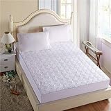 DJNCIA Zuhause Verdicken Matratze Cover King Queen-Bett-Bett-Bett-Bett-Bett-Bett-Anti-Bakterien-Matratze Topper luftdurchlässiger Bett-Pad Hotelqualität (Color : Water 2, Size : 180x220x25cm)
