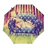 Chihuahua-Regenschirm zum Schlafen auf dem Sofa, faltbar, tragbar, kompakt, leicht, automatisches Design und hohe Windbeständigk