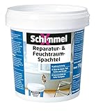 SchimmelX Reparatur- & Feuchtraum-Spachtel 1 Kg