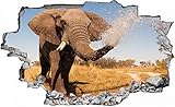 Elefant Elephant Afrika Savanne Safari Wandtattoo Wandsticker Wandaufkleber C0127 Größe 120 cm x 180