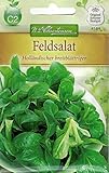 Chrestensen Feldsalat 'Holländischer breitblättriger'