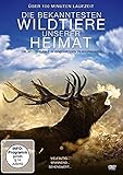 Die bekanntesten Wildtiere unserer H