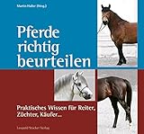 Pferde richtig beurteilen: Praktisches Wissen für Reiter, Züchter,