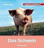 Das Schwein: Schauen und Wissen!