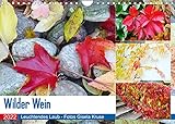 Wilder Wein Leuchtendes Laub (Wandkalender 2022 DIN A4 quer)