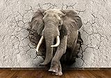 wandmotiv24 Fototapete Elefant 3D Wanddurchbruch, L 300 x 210 cm - 6 Teile, Fototapeten, Wandbild, Motivtapeten, Vlies-Tapeten, Tier, Mauer, Bruch M1238