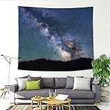 YYRAIN Rosa Vogel Wandteppich Nacht Sternenhimmel Wandbehang Moderne Home Wanddekoration Tuch Wohnzimmer Schlafzimmer Gemälde Multifunktionale Strandtuch Tagesdecke 59x39 Inch{150x100cm}